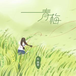 Listen to 青梅 (伴奏) song with lyrics from 朱兴东
