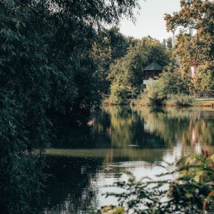 Listen to Mild song with lyrics from Deep Sleep
