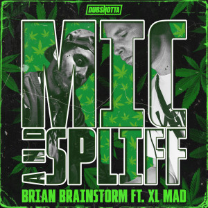 ดาวน์โหลดและฟังเพลง Mic And Spliff พร้อมเนื้อเพลงจาก Brian Brainstorm