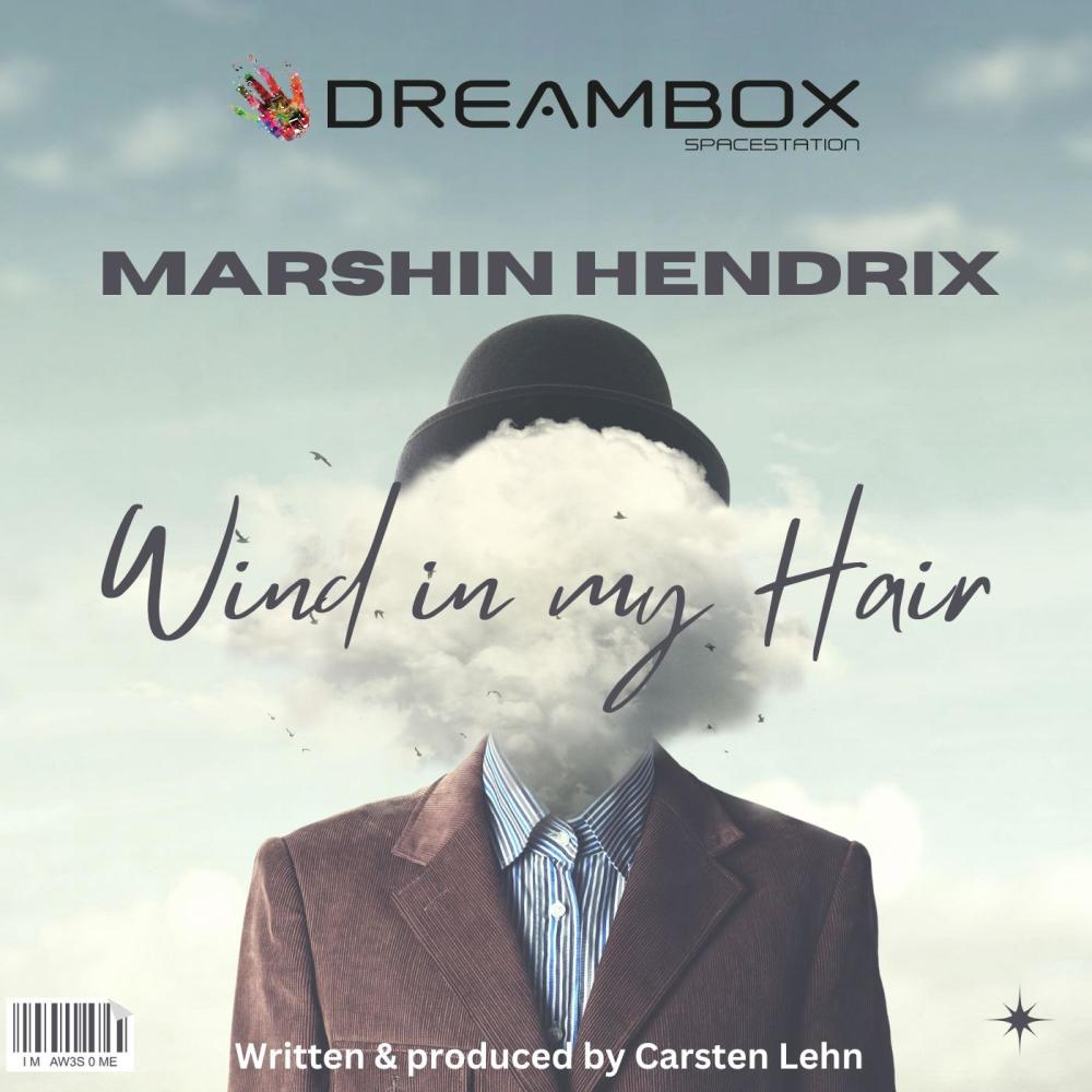 Wind in my hair (feat. Marshin Hendrix)