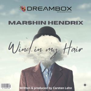收聽Dreambox Studios的Wind in my hair (feat. Marshin Hendrix)歌詞歌曲