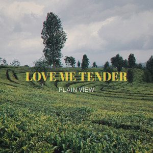 Listen to Love Me Tender (Acoustic Cover) song with lyrics from Plain View