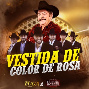 收聽Grupo la Fuga的Vestida de color de rosa歌詞歌曲