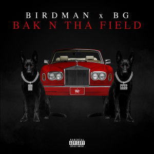 Birdman的專輯BAK N THA FIELD (Explicit)