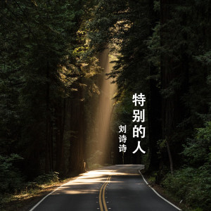 Listen to 特别的人 song with lyrics from 刘诗诗