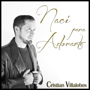 Listen to Sube De Nivel song with lyrics from Cristian Villalobos