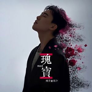 Album 瑰宝当泥沙 oleh 邓岳章