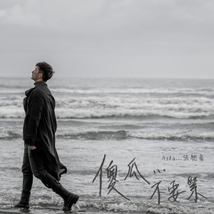收聽張馳豪的傻瓜…不要緊歌詞歌曲