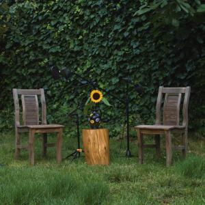 ดาวน์โหลดและฟังเพลง Su Akar Deli Bakar (Bahçeden Canlı) พร้อมเนื้อเพลงจาก Ahmet Ali Arslan