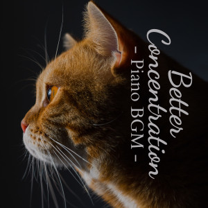 ดาวน์โหลดและฟังเพลง A Concise Plan พร้อมเนื้อเพลงจาก Piano Cats