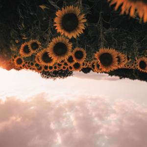 收聽LLC Flame的HOPE歌詞歌曲