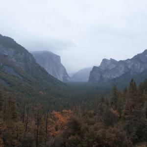 Listen to New Experience song with lyrics from Deep Sleep