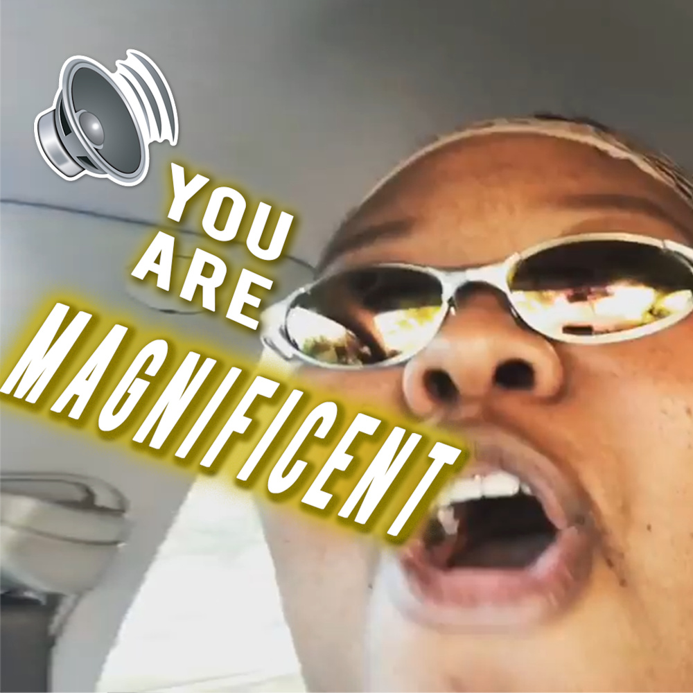 You Are Magnificent