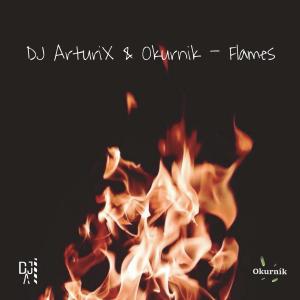 收听DJ ArturiX的Flames歌词歌曲