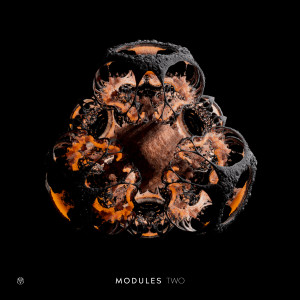 อัลบัม MODULES two ศิลปิน Various