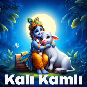 Nainsy的专辑Kali Kamli