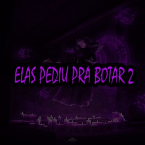 Album Elas Pediu pra Botar 2 (Explicit) from dj 2c