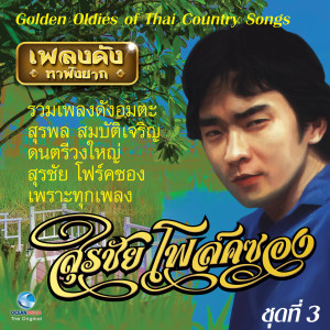 Listen to กว้านพะเยา song with lyrics from สุรชัยโฟล์คซอง