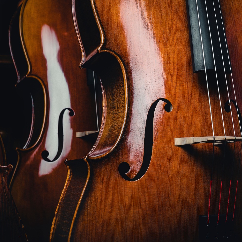 Soothing Night Melodies for Rest