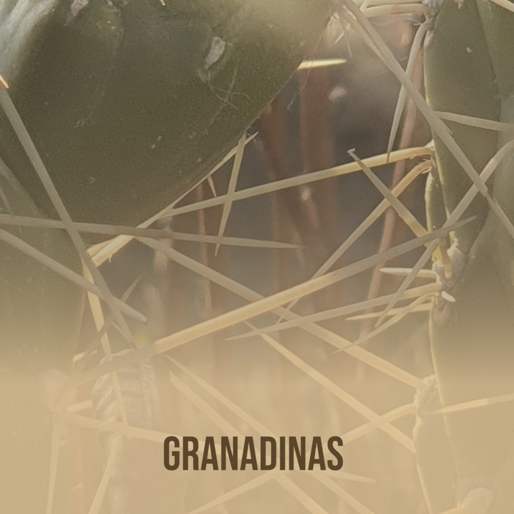 Granadinas