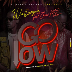 Listen to Go Low song with lyrics from Wiz Designer