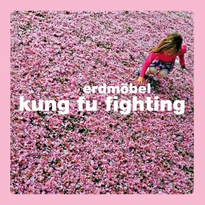 ดาวน์โหลดและฟังเพลง Kung Fu Fighting พร้อมเนื้อเพลงจาก Erdmöbel