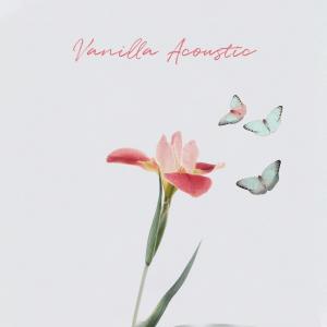 อัลบัม 나비 ศิลปิน Vanilla Acoustic