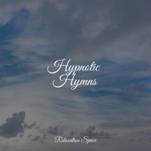 Relaxation Space的專輯Hypnotic Hymns
