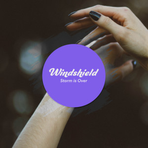 Listen to Those Summer Nights song with lyrics from windshield