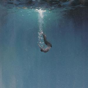Album 상어 (伤铻) from Son Jinwook
