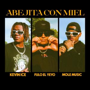 ดาวน์โหลดและฟังเพลง Abejita Con Miel (feat. Kevin Ice & Fulo El Yeyo) พร้อมเนื้อเพลงจาก Mole