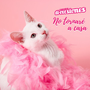 收聽Orquestra Di-Versiones的No Tornaré a Casa歌詞歌曲