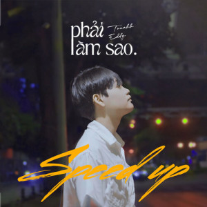 TuuAhh的专辑Phải Làm Sao (Speed Up)