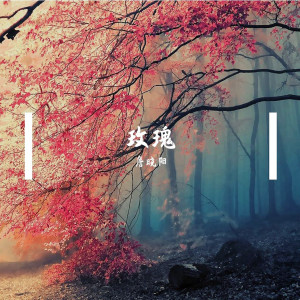 收聽詹曉陽的天上飛 Au版 (Live)歌詞歌曲