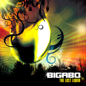 Listen to out of service song with lyrics from Bigabo