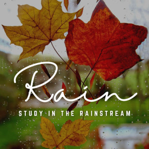 Calm Knowledge: Rain's Mindful Flow