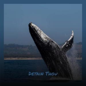 Album Detain Thou from Various