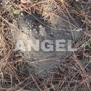 收聽BriGuy WhiteHorse的Angel歌詞歌曲