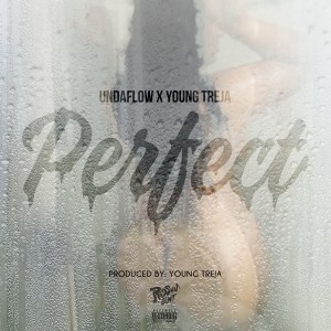 收聽Undaflow的Perfect (Explicit)歌詞歌曲