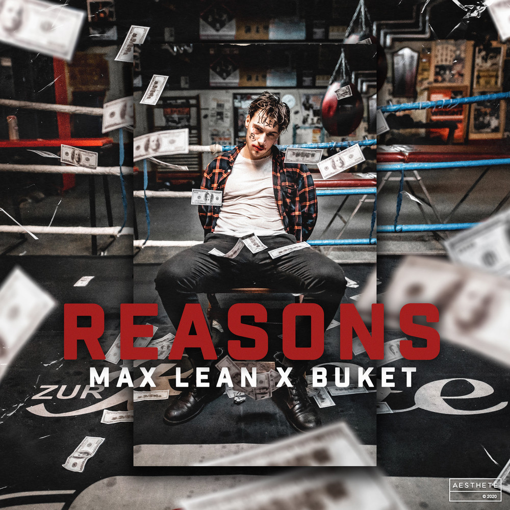 Reasons (Explicit)