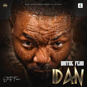 Album IDAN from Oritse Femi