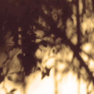 Listen to El karma de vivir al sur song with lyrics from Martín Campisi
