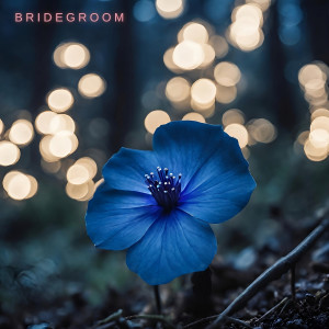 Album Nightshade from Bridegroom