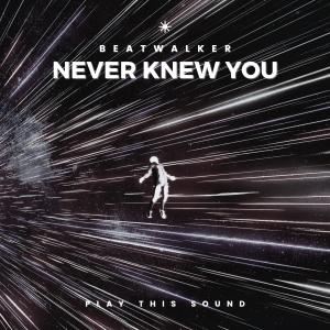 收聽Beatwalker的Never Knew You歌詞歌曲