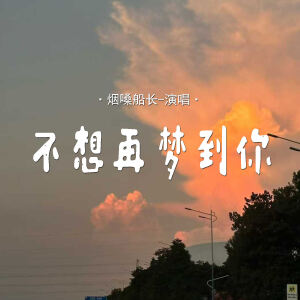 烟嗓船长的专辑不想再梦到你