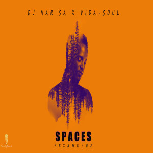 อัลบัม Spaces ศิลปิน DJ Nar SA