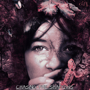 收聽PHYTER的Chasing the Shadows歌詞歌曲