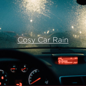 ดาวน์โหลดและฟังเพลง Relaxing Light Showers พร้อมเนื้อเพลงจาก Rain Sounds