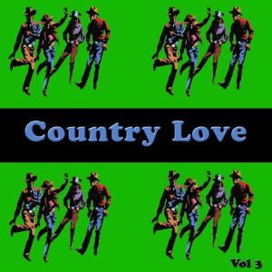 Listen to Somebody Stole My Honey song with lyrics from Ernest Tubb