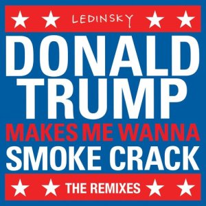 ดาวน์โหลดและฟังเพลง DonaldTrumpMakesMeWannaSmokeCrack (Pfannenstill Remix) พร้อมเนื้อเพลงจาก Ledinsky